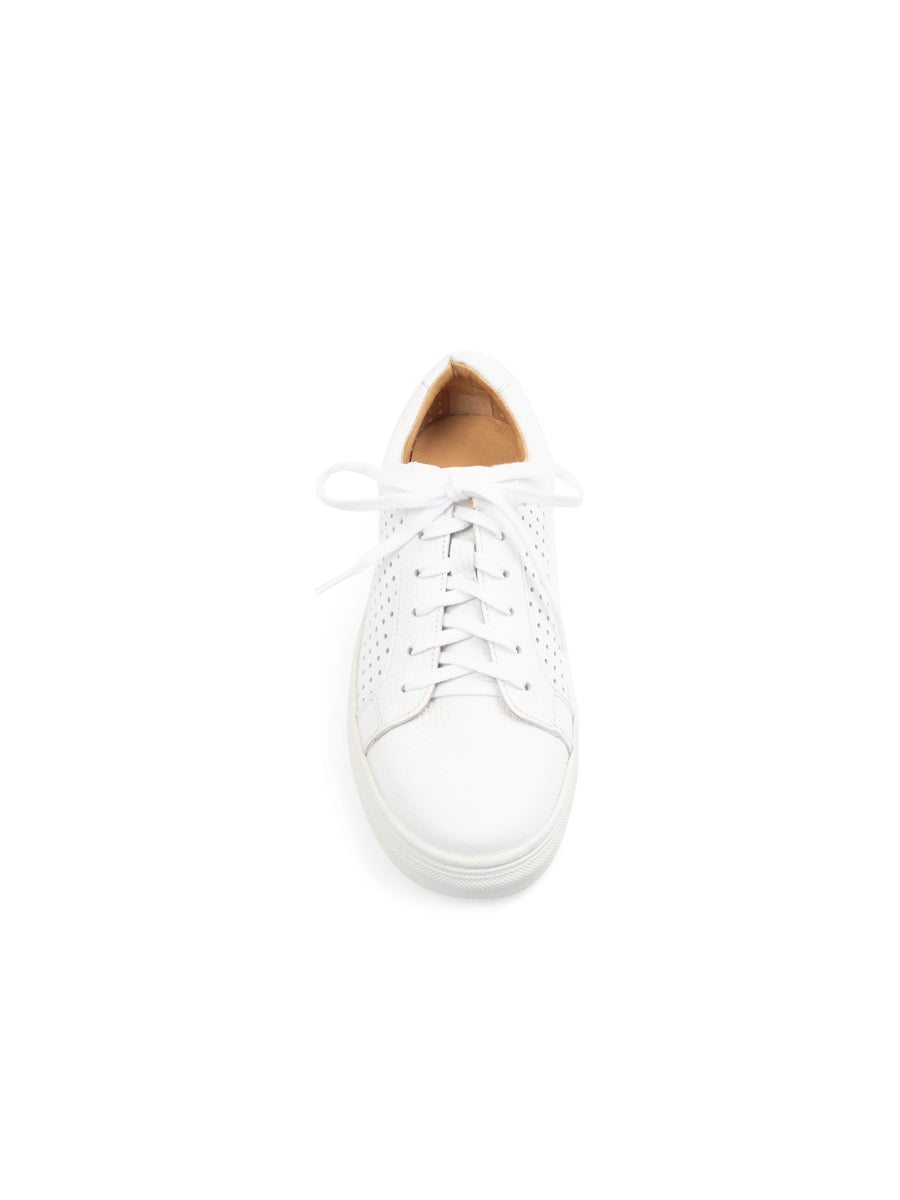 Ryan Perforated Sneaker